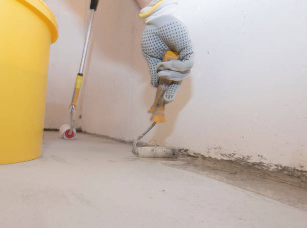 Best Fumigation Services  in Allyn, WA